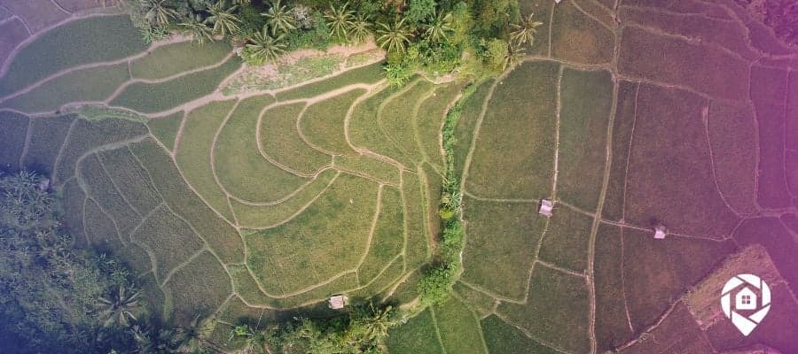 An aerial view of back tax land.
