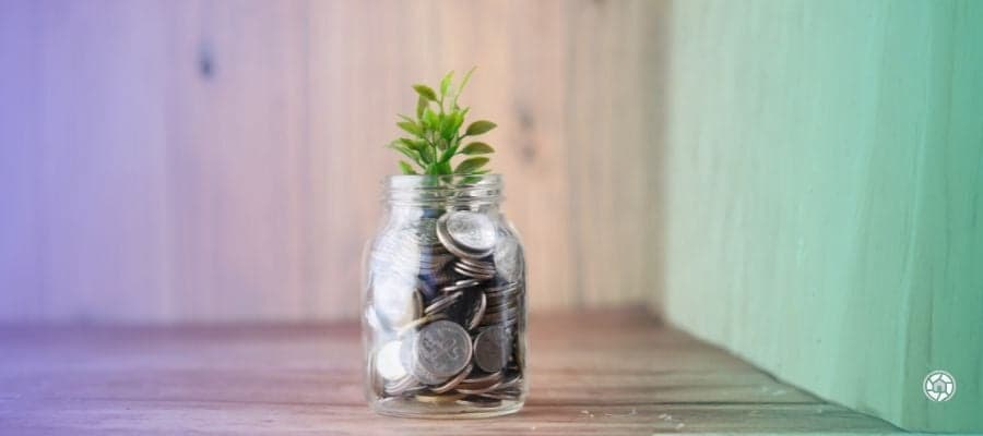 coins in a jar with a plant growing